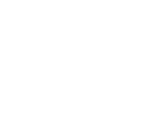 Logo opel white